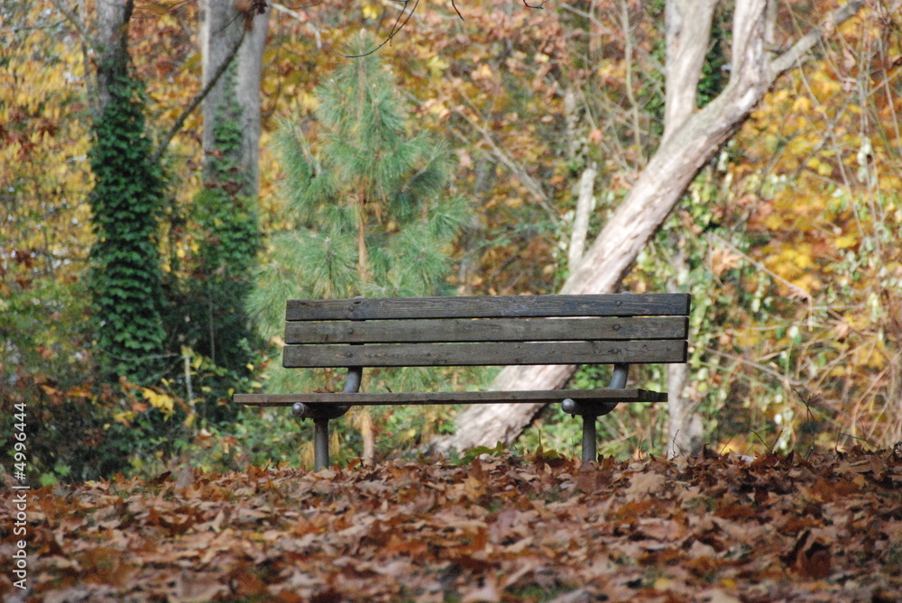 Fall bench