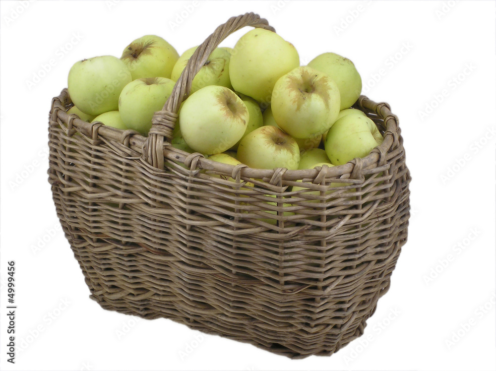 Green apples in basket isolated