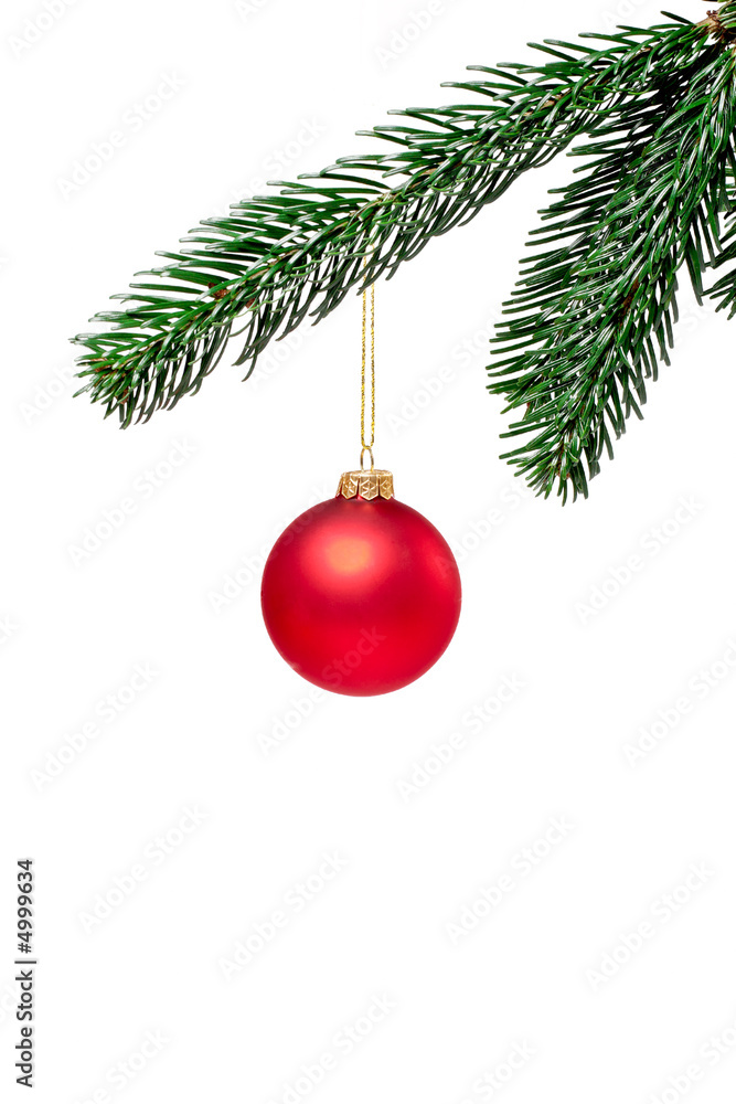 Rote Weihnachtskugel am Zweig