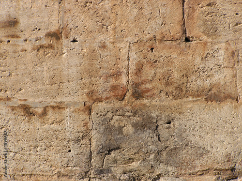 Muro
