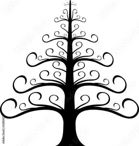 Sapin - Illustration