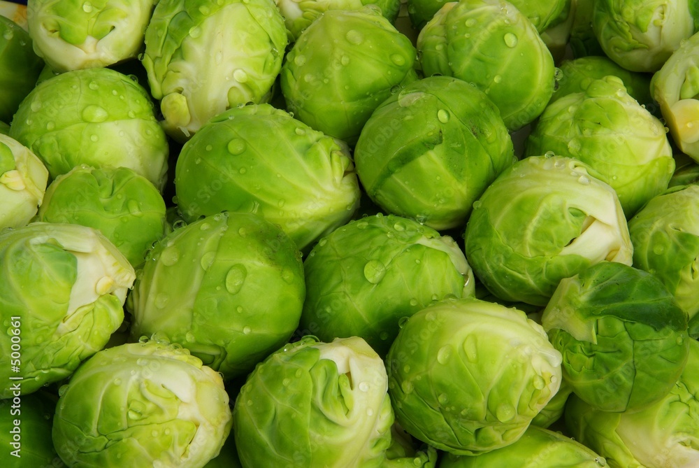 Rosenkohl 03 Rosenkohl 03