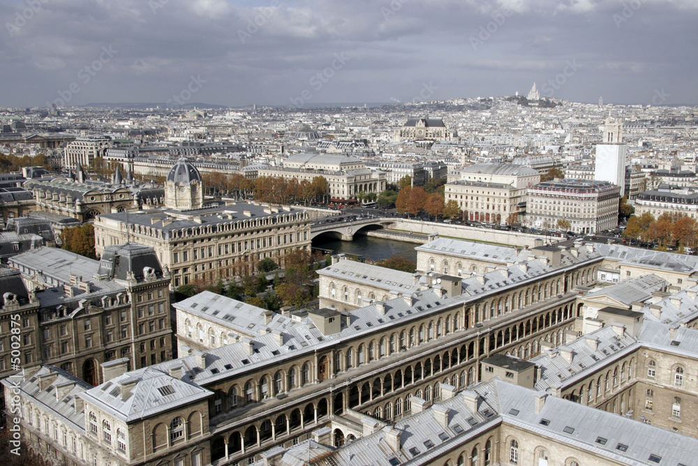 Paris vu des tours de la cathédrale Notre-Dame