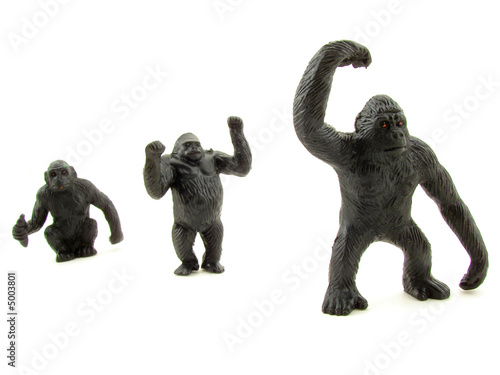 Fototapeta Naklejka Na Ścianę i Meble -  gorillas