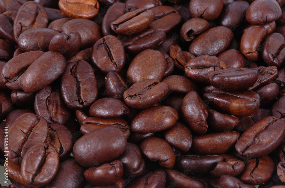 Fototapeta premium Kaffeebohnen