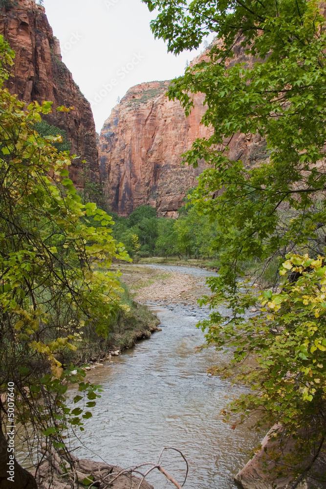 Virgin River in Zion National Park