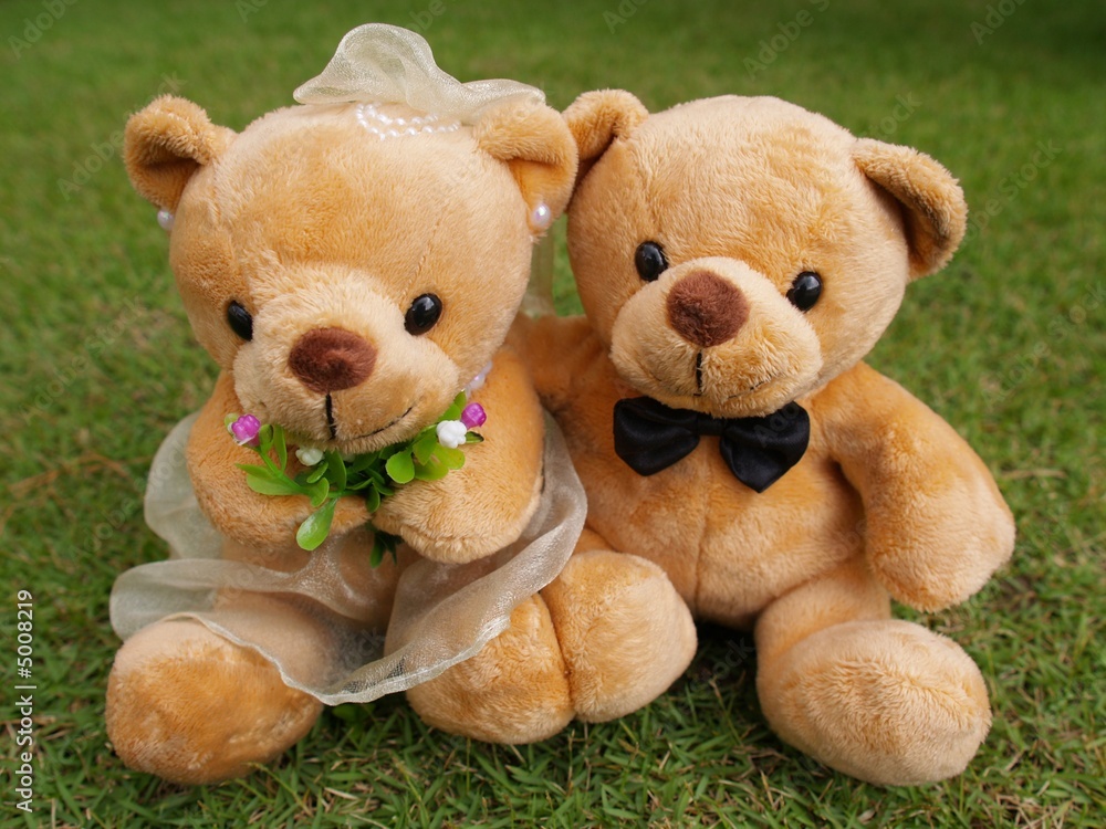 Fotografie Wedding Bears on the Botany Garden