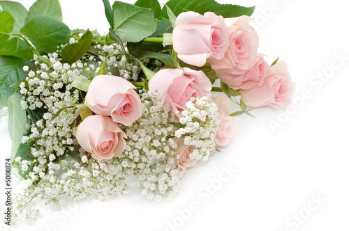 Roses isolated on white