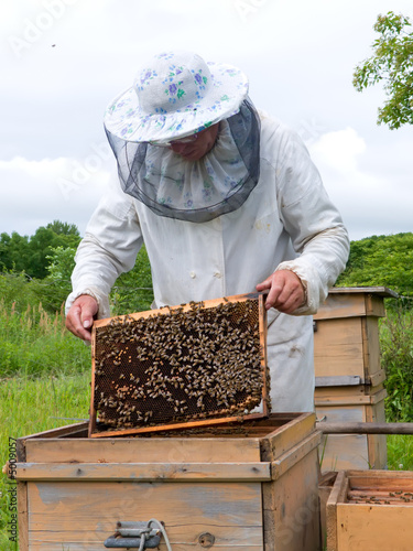 Beekeeper 15 photo