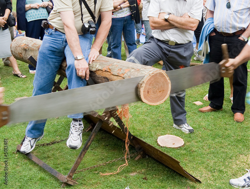 concurso de sierra de troncos