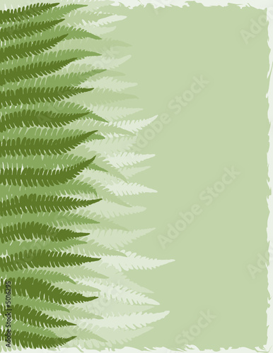 Shades of Green Fern Fronds Background