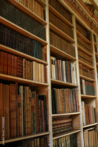 private library shelves with books
