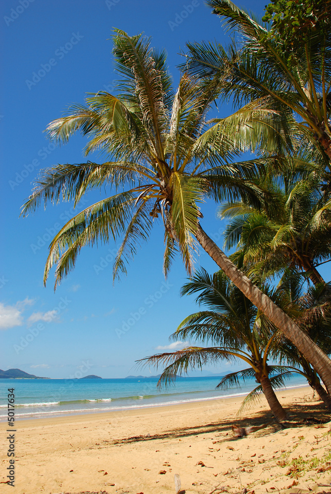 Obraz premium beautiful beach Location