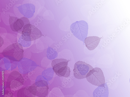 Soft Purple Leaves