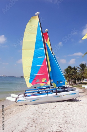 Catamaran Sailboats on Key Biscayne