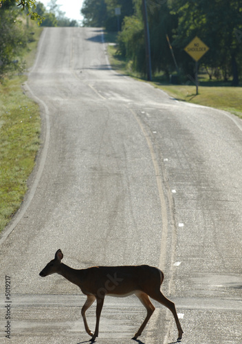 Deer Street