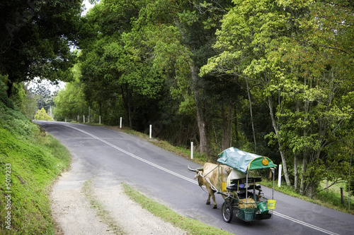 A slow journey