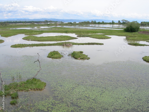 laguna della Cona
