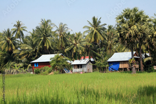 Houses in the jungle in Cambodia photo
