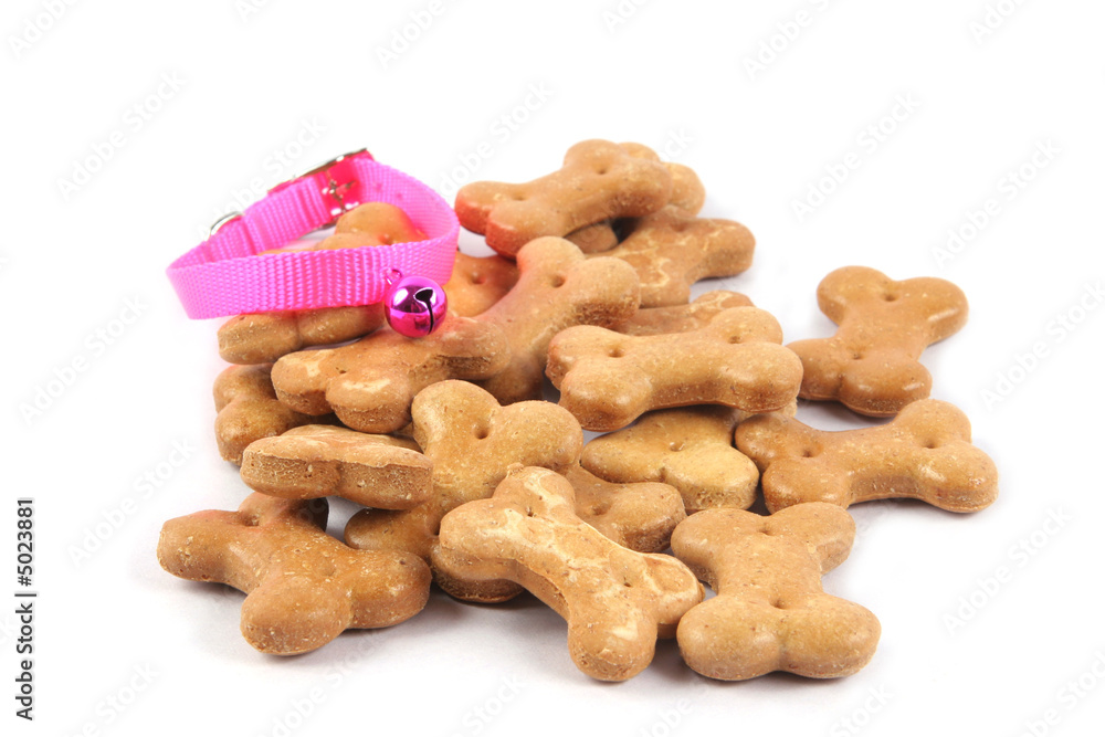 Fototapeta premium Pet food