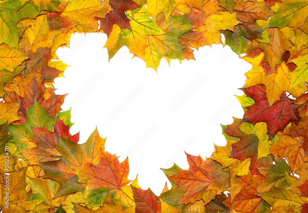 Fototapeta premium scope from leaves