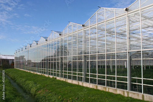 Greenhouse © Jan Kranendonk