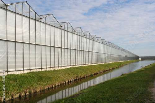 Greenhouse in Holland