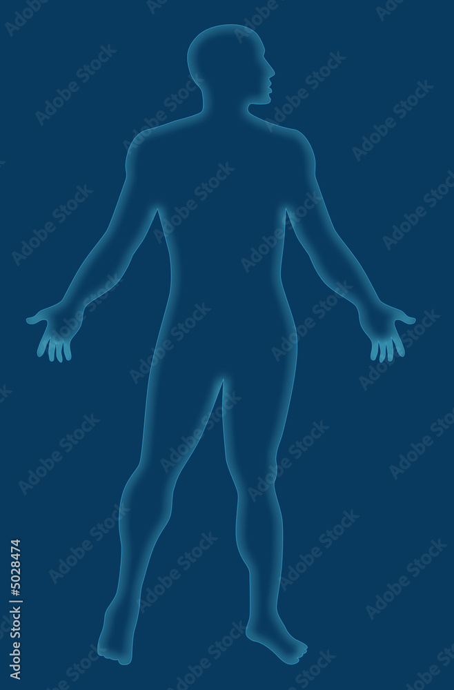 Human anatomy x-ray style