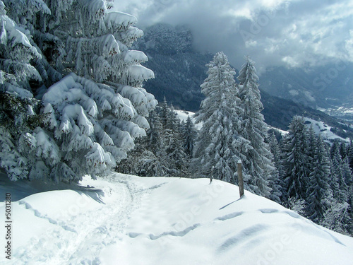 paysage neige 5