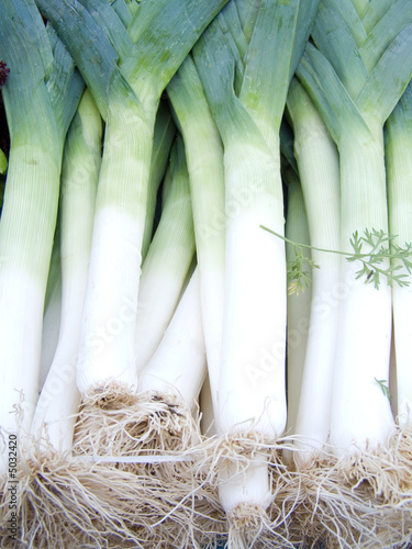 leeks
