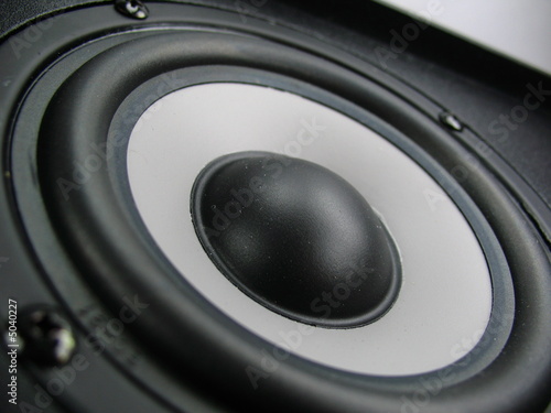 Cuadro en lienzo subwoofer