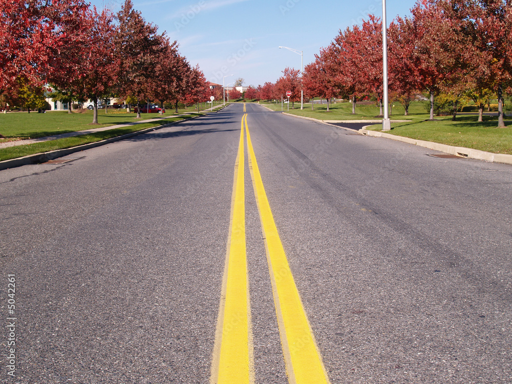Fototapeta premium painted double yellow lines in street