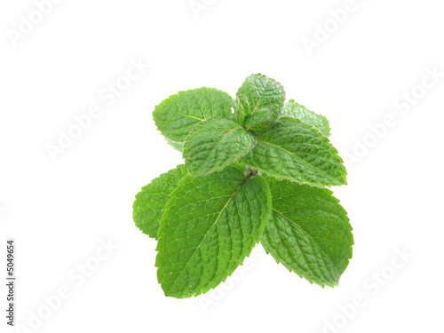 mint