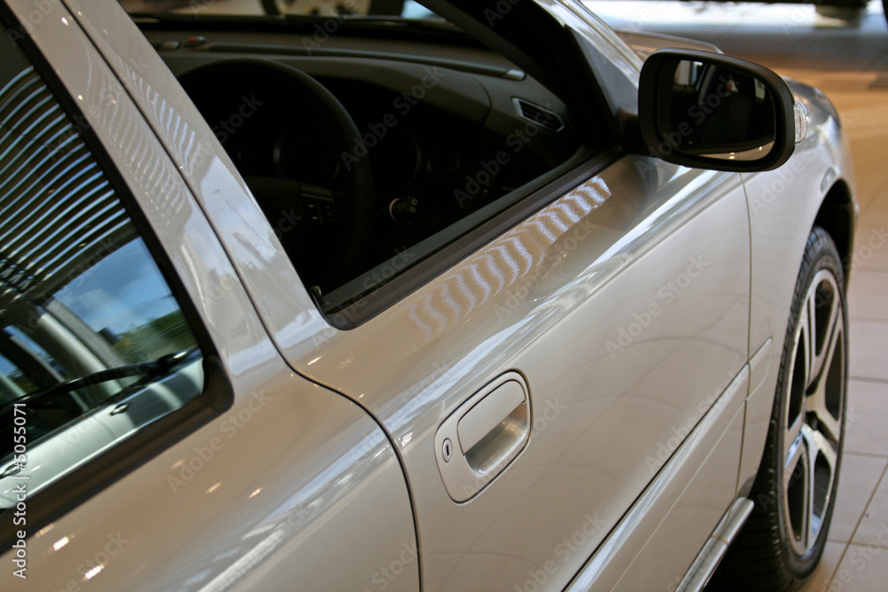 drivers side door and wing mirror on silver coupe