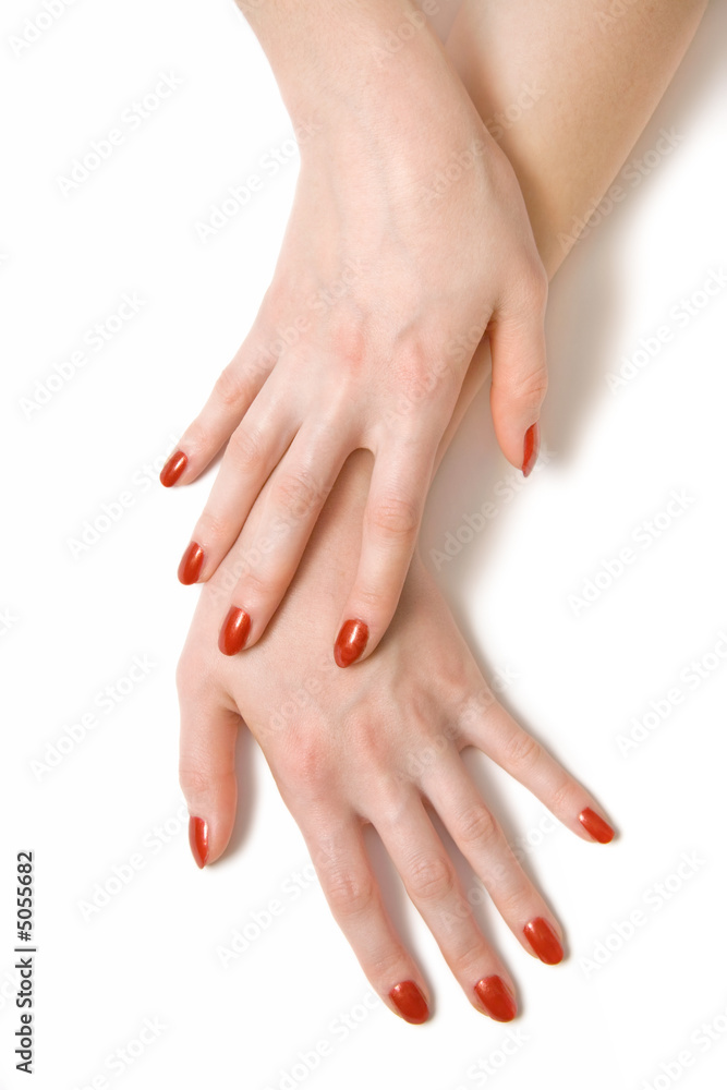 Fototapeta premium Two elegant woman hands
