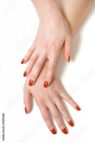 Two elegant woman hands