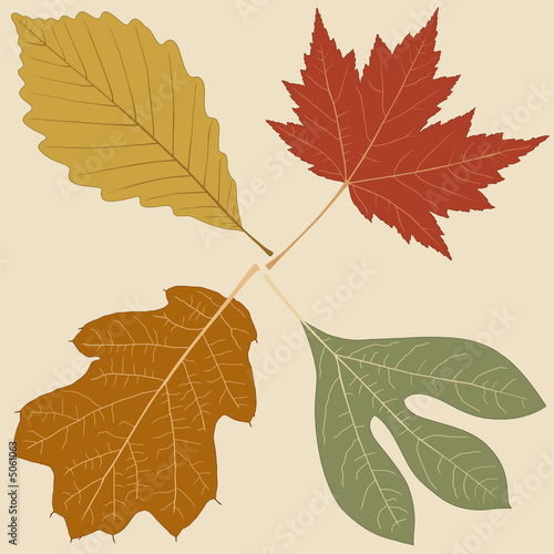 Four Fall Leaves