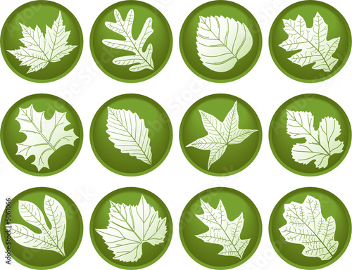 Twelve Leaf Buttons