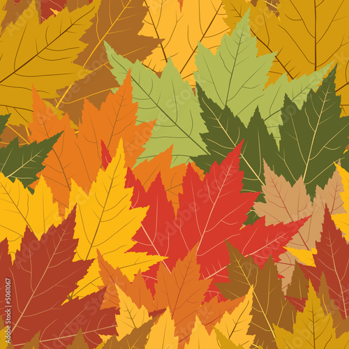 Fall maple leaf seamless repeating background