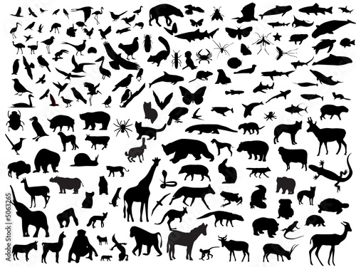 Many vectors of animals