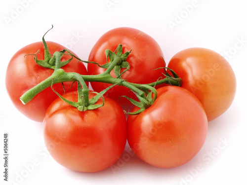 the bunch of tomatoes