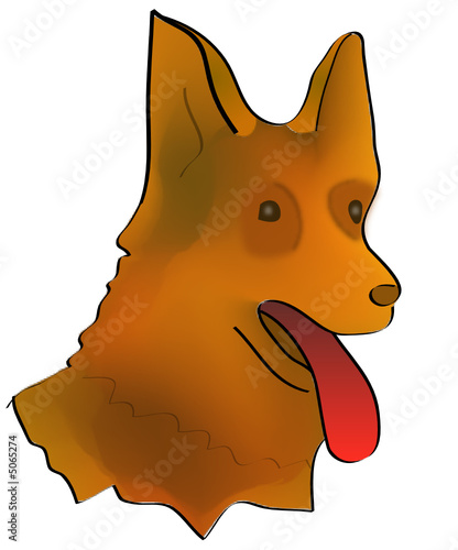 a0054 - Chien Loup sur fond blanc