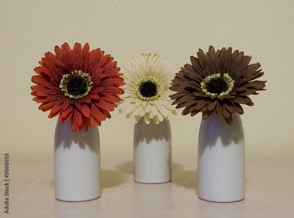 Gerberas Gerberas