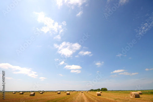 hay time