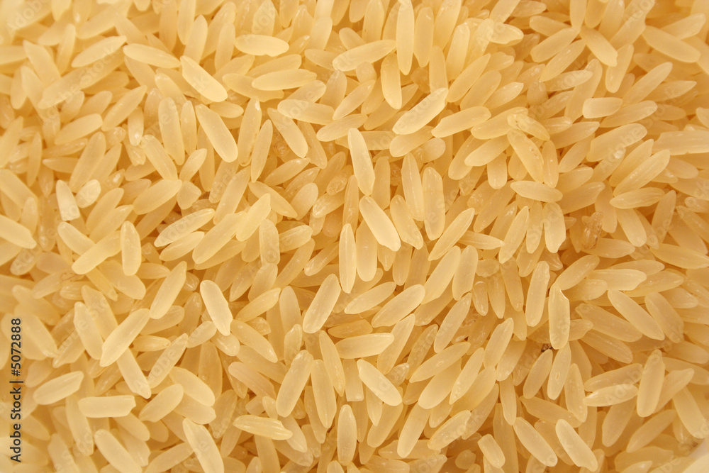White Long Grained Rice background texture White Long Grained Rice background texture