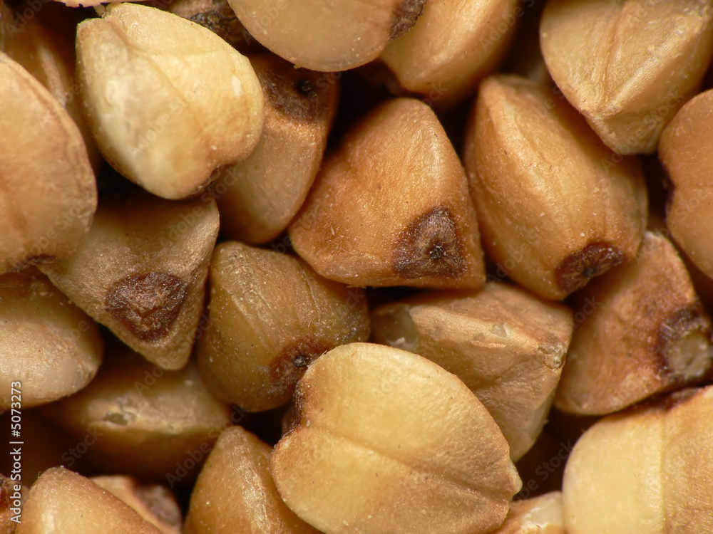 Buckwheat seeds close-up Buckwheat seeds close-up