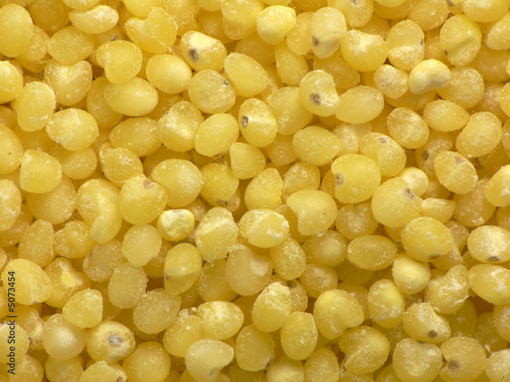 Polished millet seeds Polished millet seeds