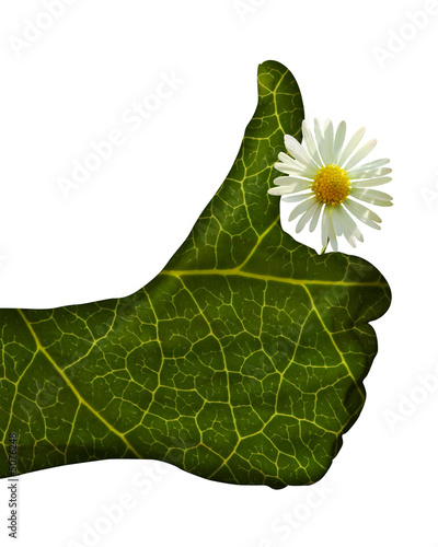 MAIN VERTE MARGUERITE FOND BLANC