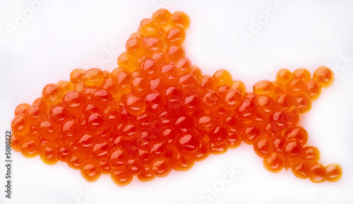 Caviar; object on a white background
