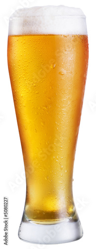 Beer; Objects on white background